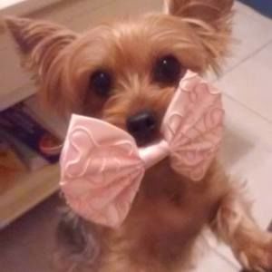 Meet your Posher, Denise